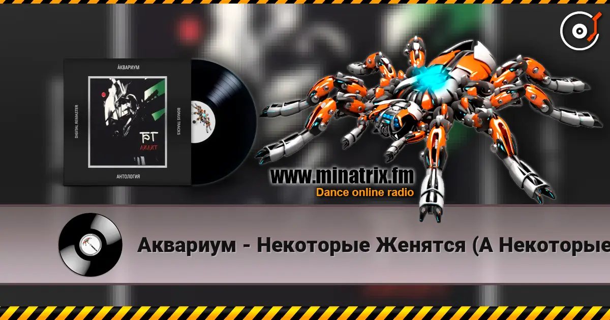 Аквариум - Некоторые Женятся (А Некоторые - Так) escuchar online en alta calidad | Minatrix.FM