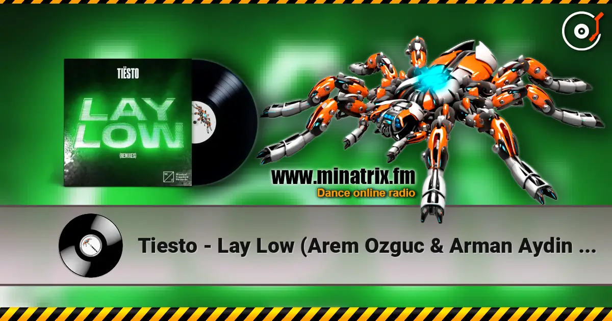 Tiesto - Lay Low (Arem Ozguc & Arman Aydin Remix) escuchar online en alta calidad | Minatrix.FM