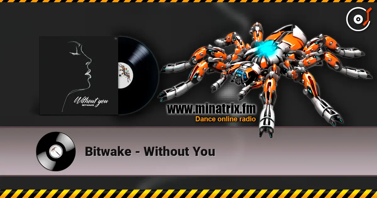 Bitwake - Without You listen online in high quality | Minatrix.FM