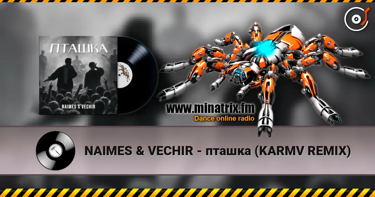 NAIMES & VECHIR - пташка (KARMV REMIX) слухати онлайн у високій якості | Minatrix.FM