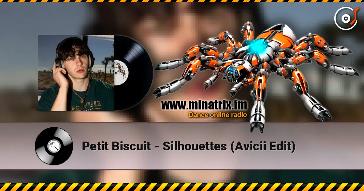 Petit Biscuit - Silhouettes (Avicii Edit) escuchar online en alta calidad | Minatrix.FM