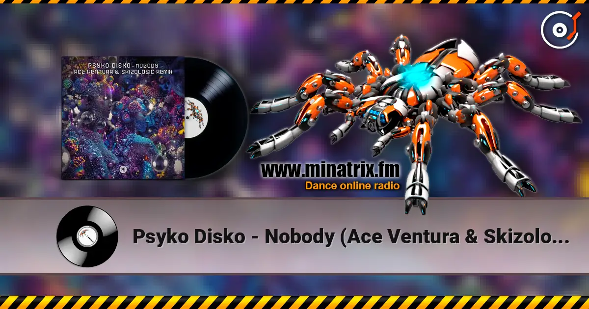 Psyko Disko - Nobody (Ace Ventura & Skizologic Remix) listen online in high quality | Minatrix.FM