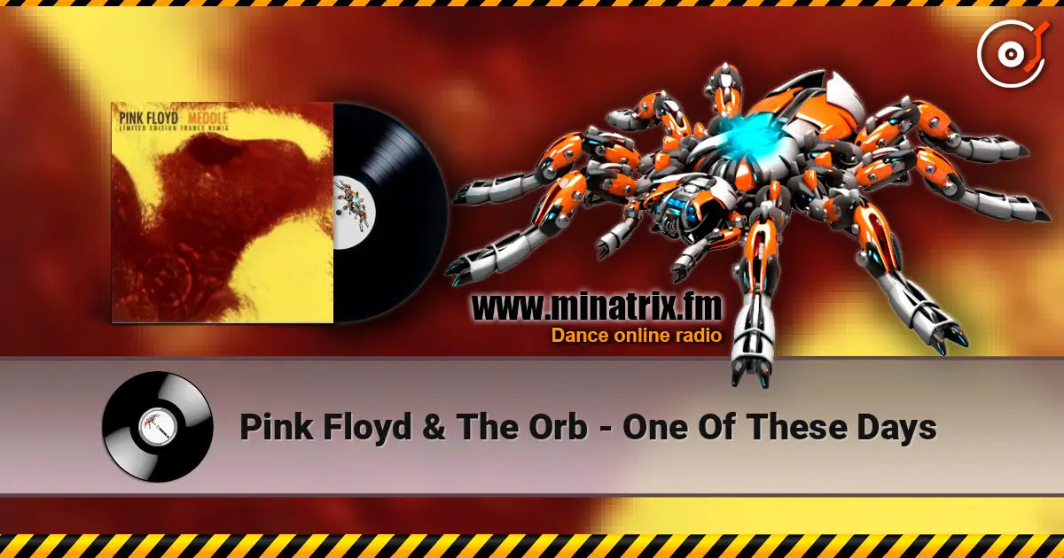 Pink Floyd & The Orb - One Of These Days escuchar online en alta calidad | Minatrix.FM