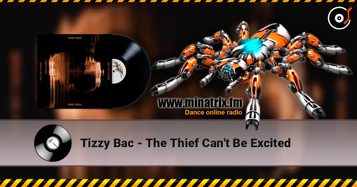 Tizzy Bac - The Thief Can't Be Excited escuchar online en alta calidad | Minatrix.FM