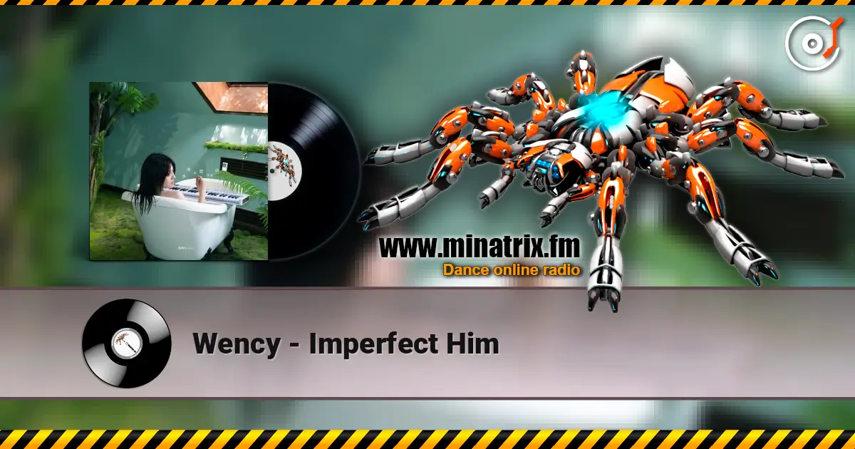 Wency - Imperfect Him escuchar online en alta calidad | Minatrix.FM