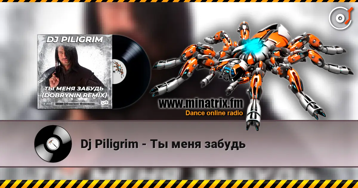 Dj Piligrim - Ты меня забудь escuchar online en alta calidad | Minatrix.FM