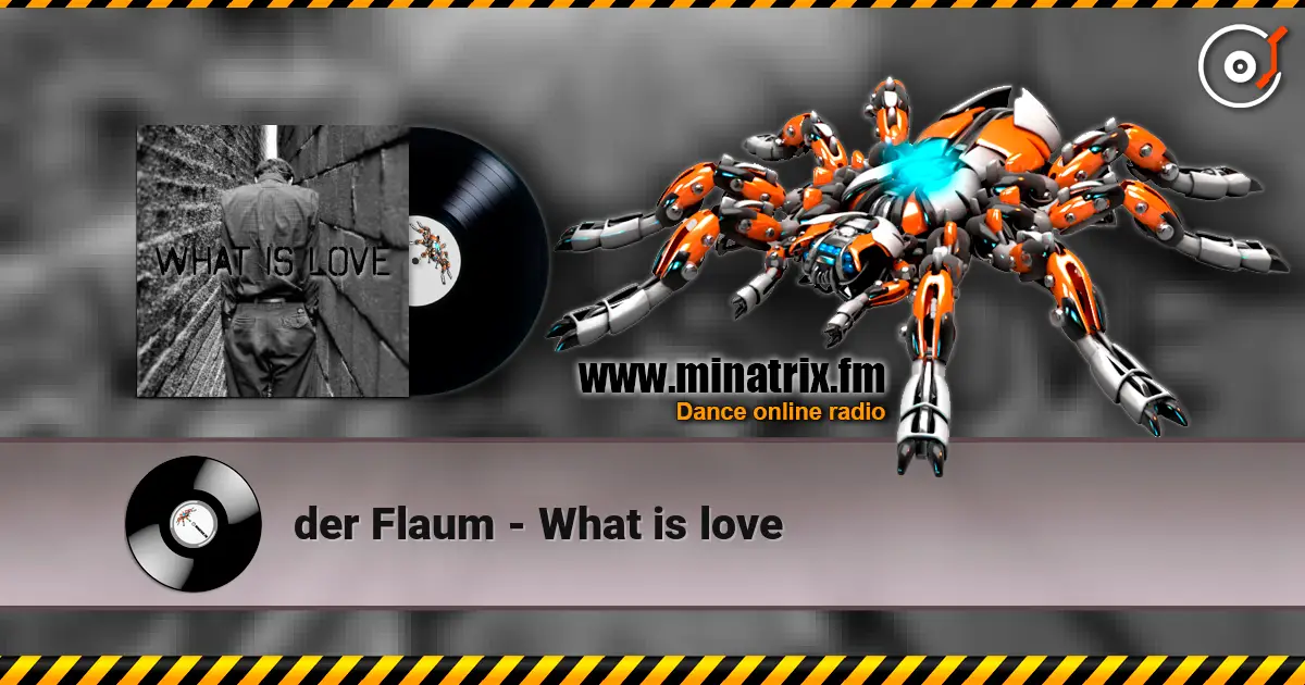 der Flaum - What is love escuchar online en alta calidad | Minatrix.FM