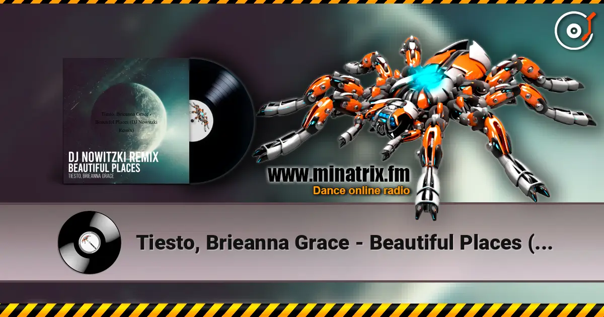 Tiesto, Brieanna Grace - Beautiful Places (DJ Nowitzki Remix) escuchar online en alta calidad | Minatrix.FM