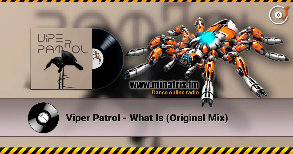 Viper Patrol - What Is (Original Mix) escuchar online en alta calidad | Minatrix.FM