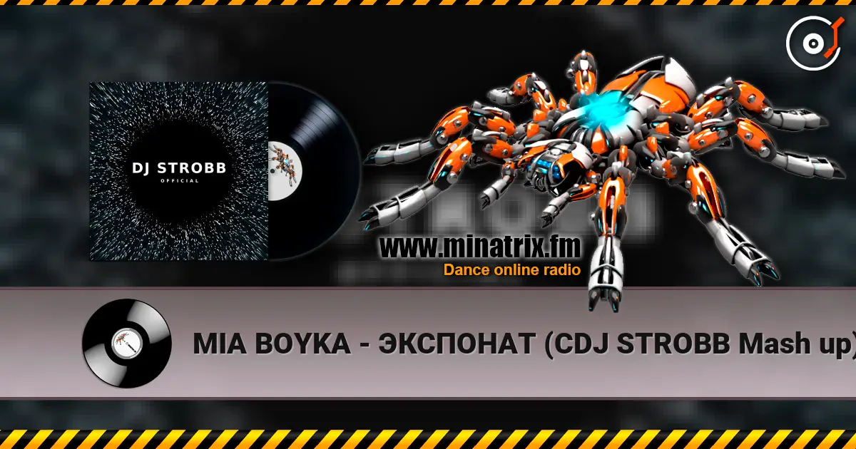 MIA BOYKA - ЭКСПОНАТ (CDJ STROBB Mash up) escuchar online en alta calidad | Minatrix.FM