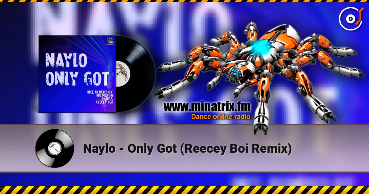 Naylo - Only Got (Reecey Boi Remix) listen online in high quality | Minatrix.FM