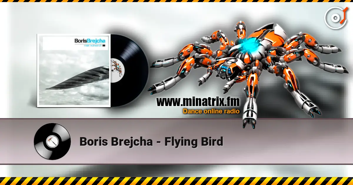 Boris Brejcha - Flying Bird escuchar online en alta calidad | Minatrix.FM