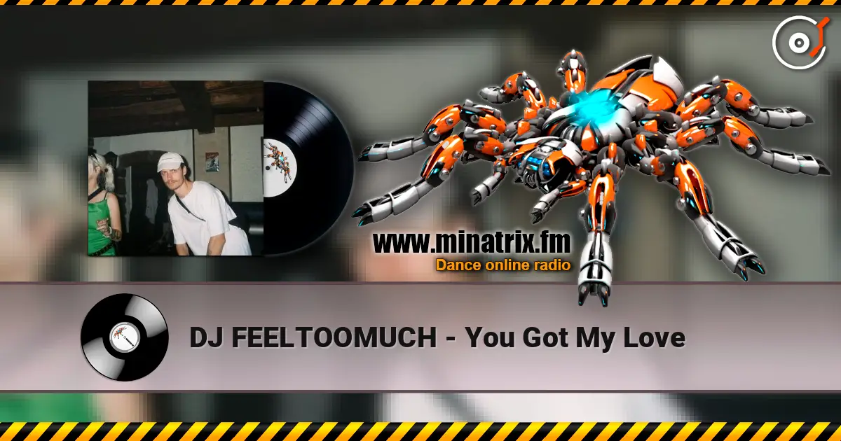 DJ FEELTOOMUCH - You Got My Love escuchar online en alta calidad | Minatrix.FM