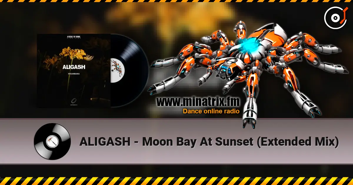 ALIGASH - Moon Bay At Sunset (Extended Mix) escuchar online en alta calidad | Minatrix.FM
