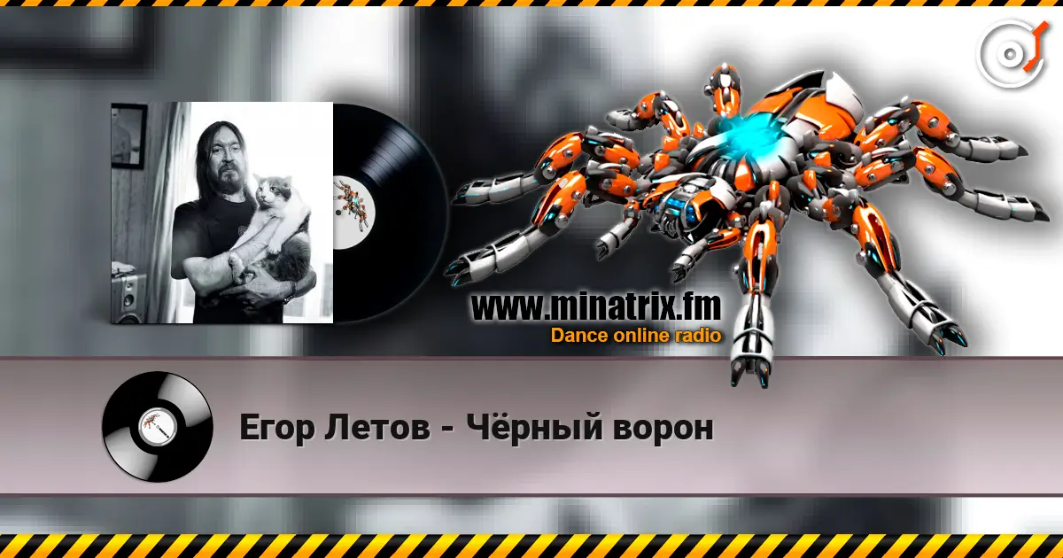 Егор Летов - Чёрный ворон escuchar online en alta calidad | Minatrix.FM