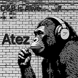 Emisión Minatrix.FM: Bass is alive...